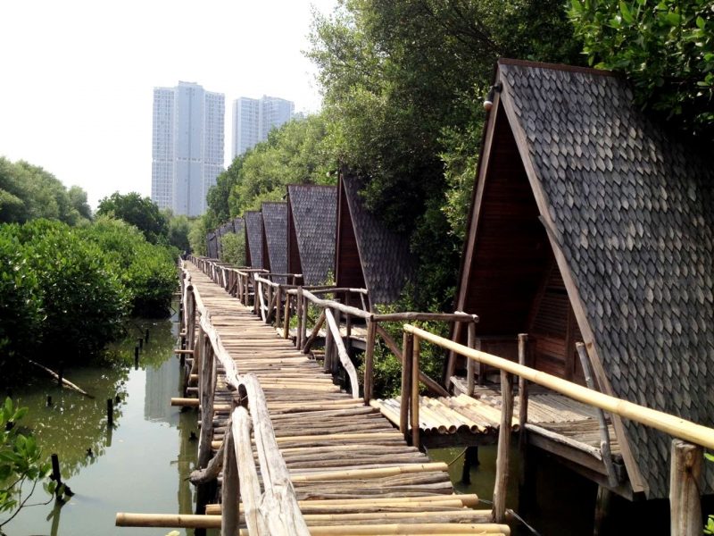 destinasi wisata jakarta hutan mangrove PIK jakarta